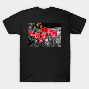 Red Tulips on black and white background T-Shirt